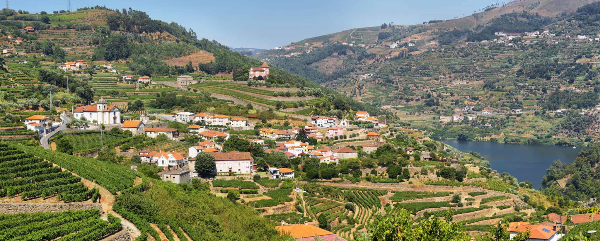 panoramic view of the Douro region in northern Portugal