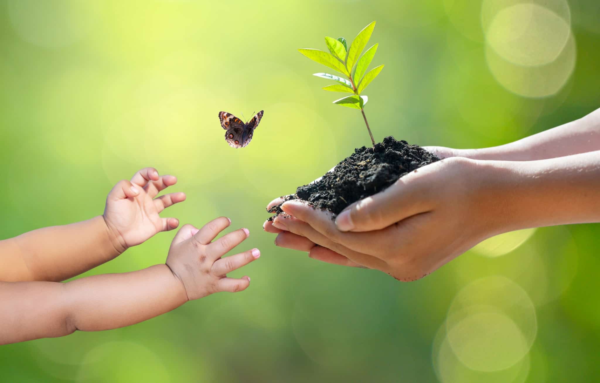 illustrative photographic production.  Green background and focus on an adult's hands with a handful of earth towards a child's hands
